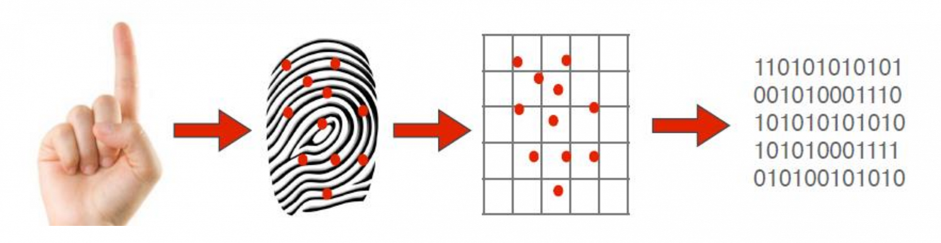 biometrics in a nutshell